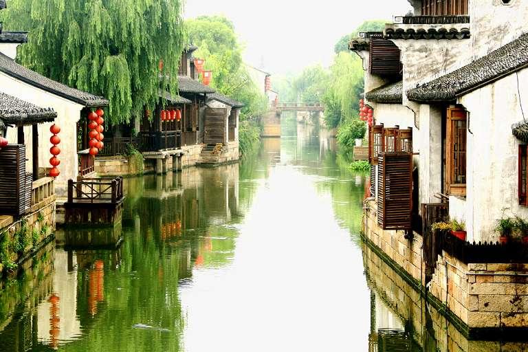 杨紫的3个新年目标曝光：体重年轻，钱包稳重，以及这一个
